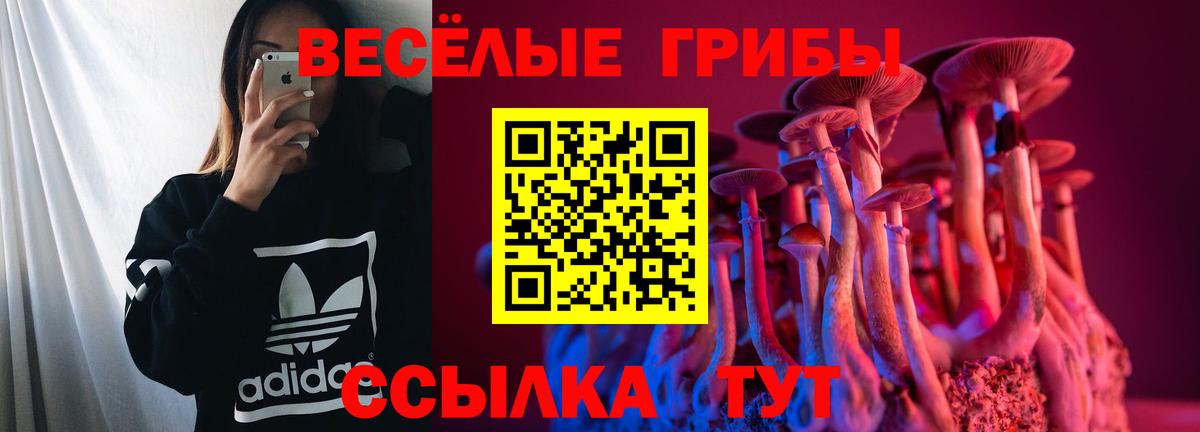Псилоцибиновые грибы GOLDEN TEACHER Люберцы